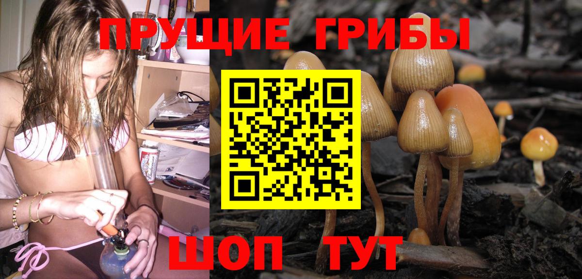 Галлюциногенные грибы прущие грибы Гулькевичи